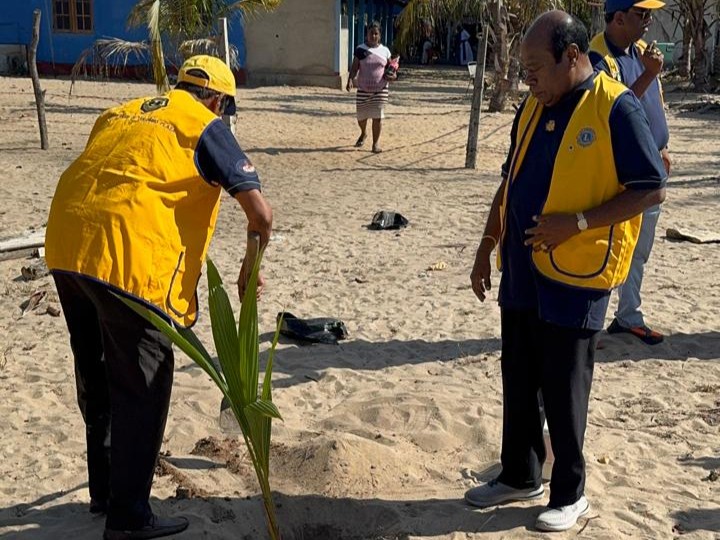 Planting 50 Coconut Trees @Service Carnival