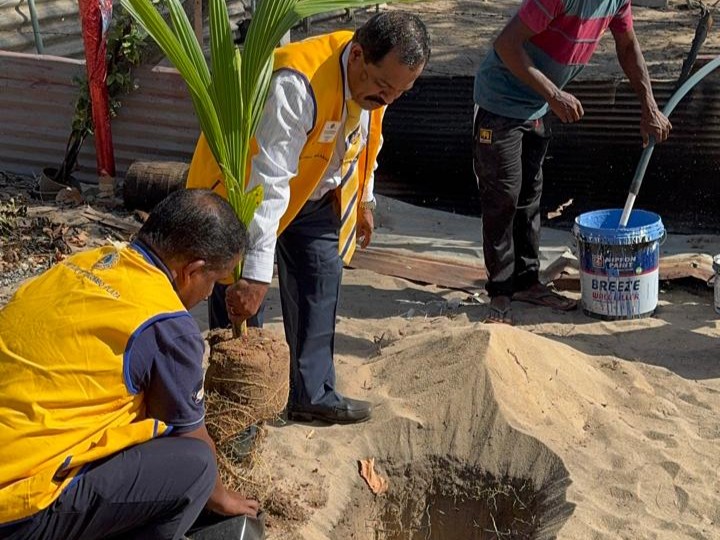 Planting 50 Coconut Trees @Service Carnival
