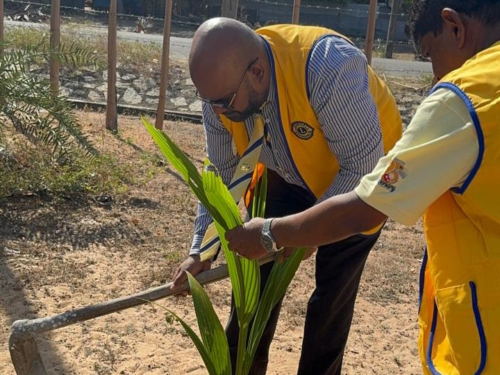 Planting 50 Coconut Trees @Service Carnival